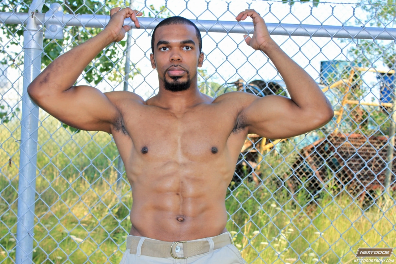Boxer in 'Next Door Studios' Boxer (Thumbnail 6)
