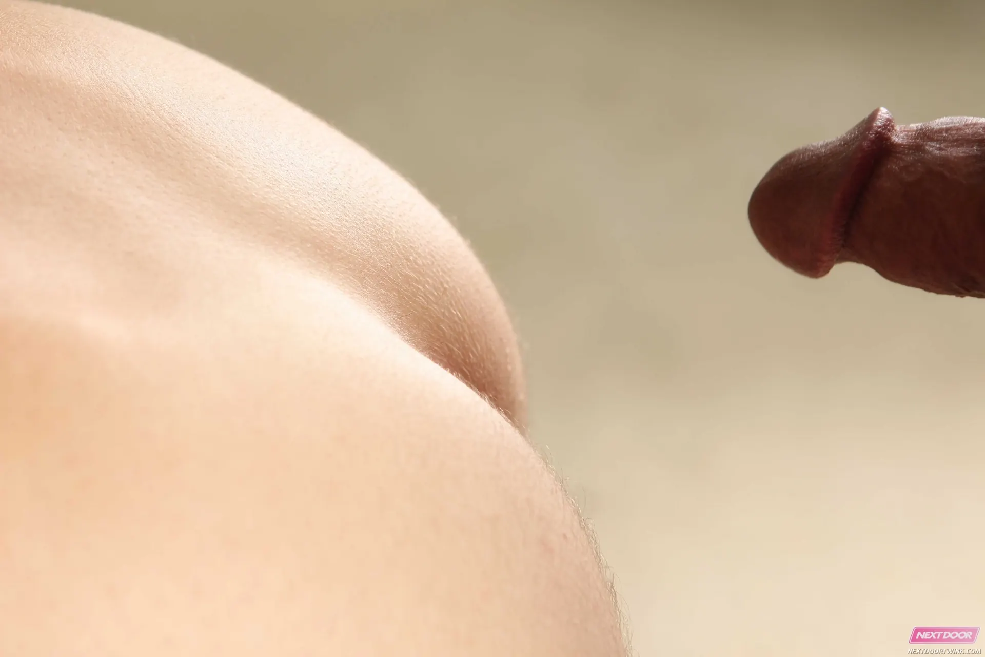 Next Door Studios 'Taste My Cookies' starring Brayden Michaels (Photo 52)