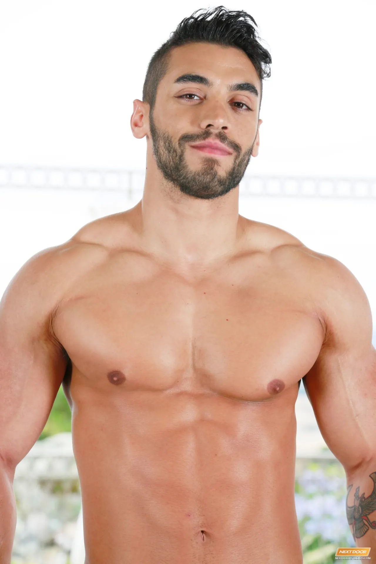 Next Door Studios 'Greek Massage' starring Colt Rivers (Photo 24)