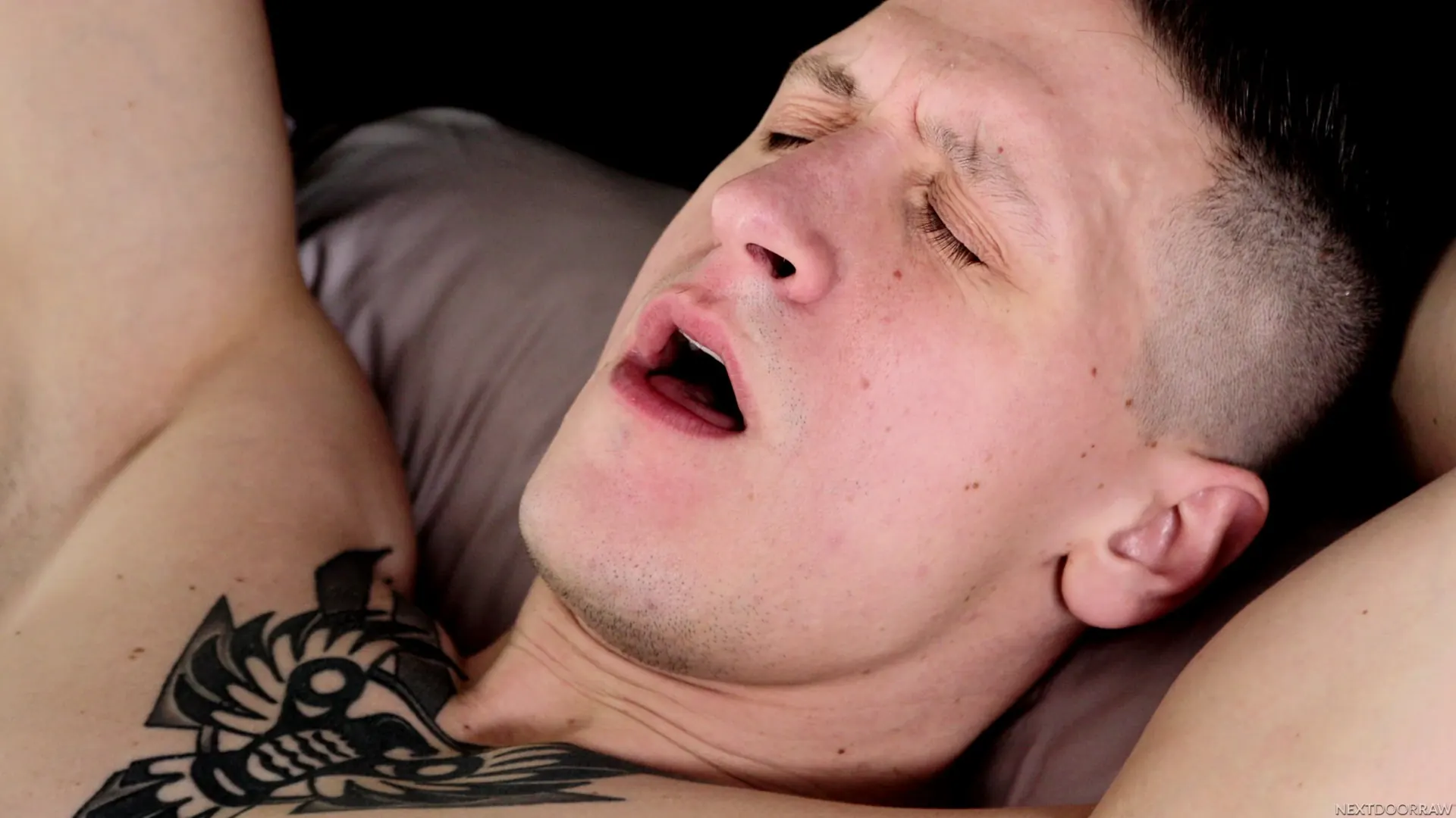 Next Door Studios 'My Kind of Host' starring Dalton Riley (Photo 14)