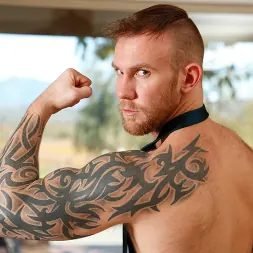 Damien Michaels in 'Next Door Studios' Hard Divorce (Thumbnail 20)