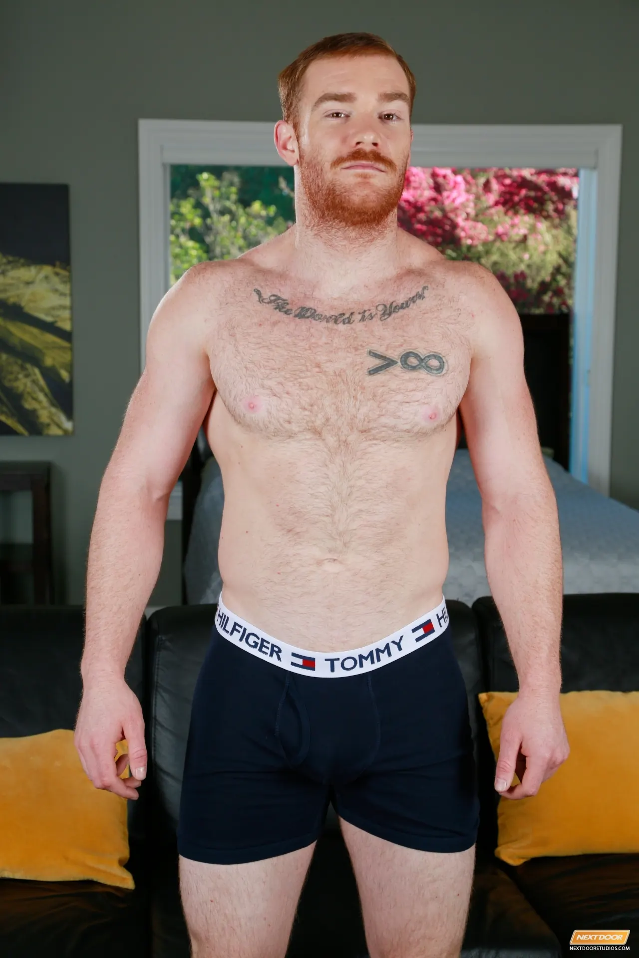 Next Door Studios 'Summer Rental' starring Damien West (Photo 8)