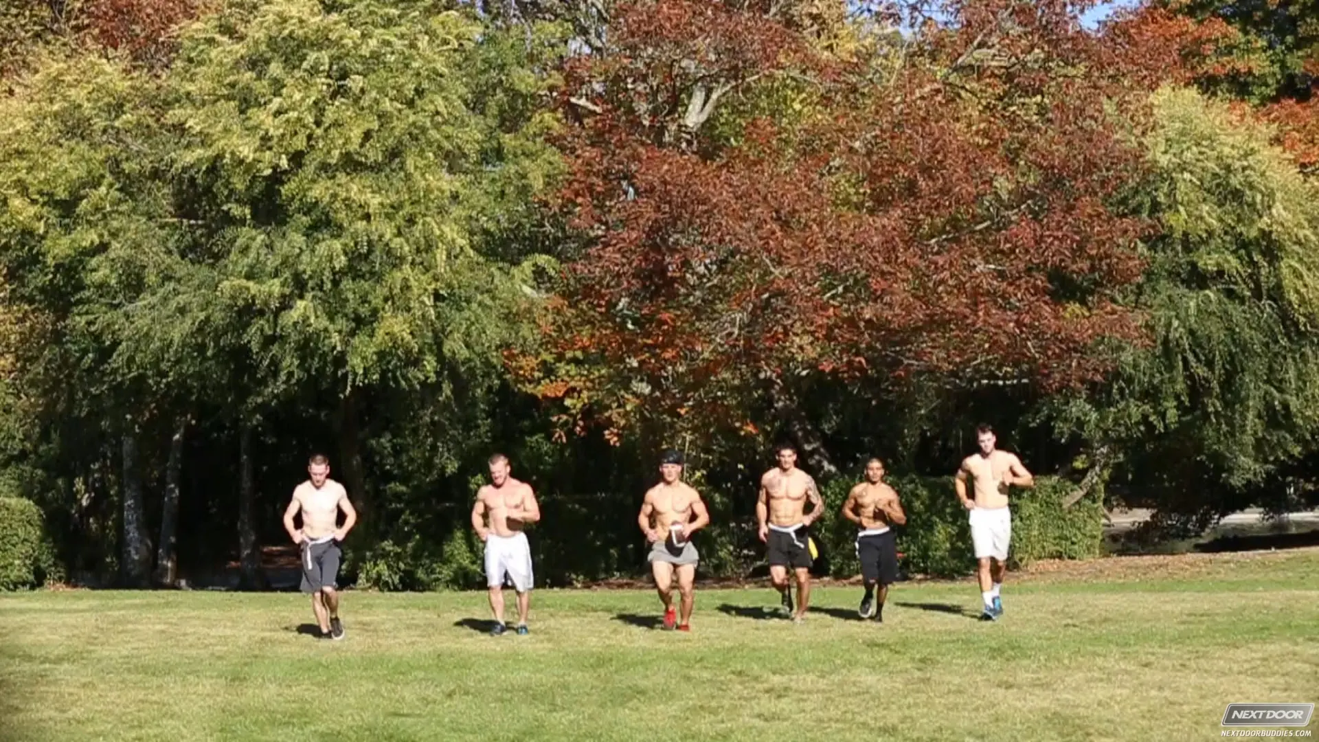 Next Door Studios 'Tight Ends' starring Damien West (Photo 1)