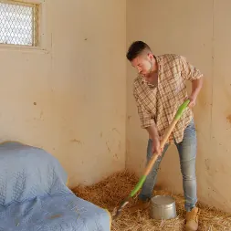 Dante Colle in 'Next Door Studios' Going Down On The Farm - Part 1 (Thumbnail 20)