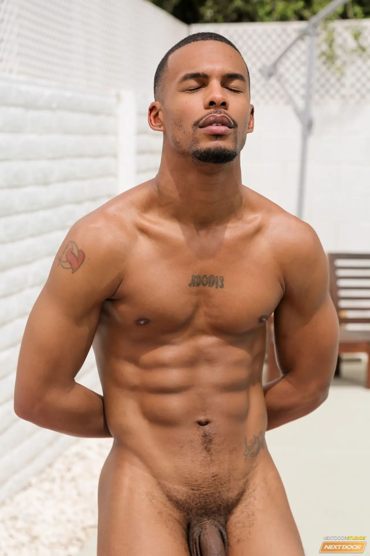 Next Door Studios 'Pool Together' starring Dominic Pacifico (Photo 30)