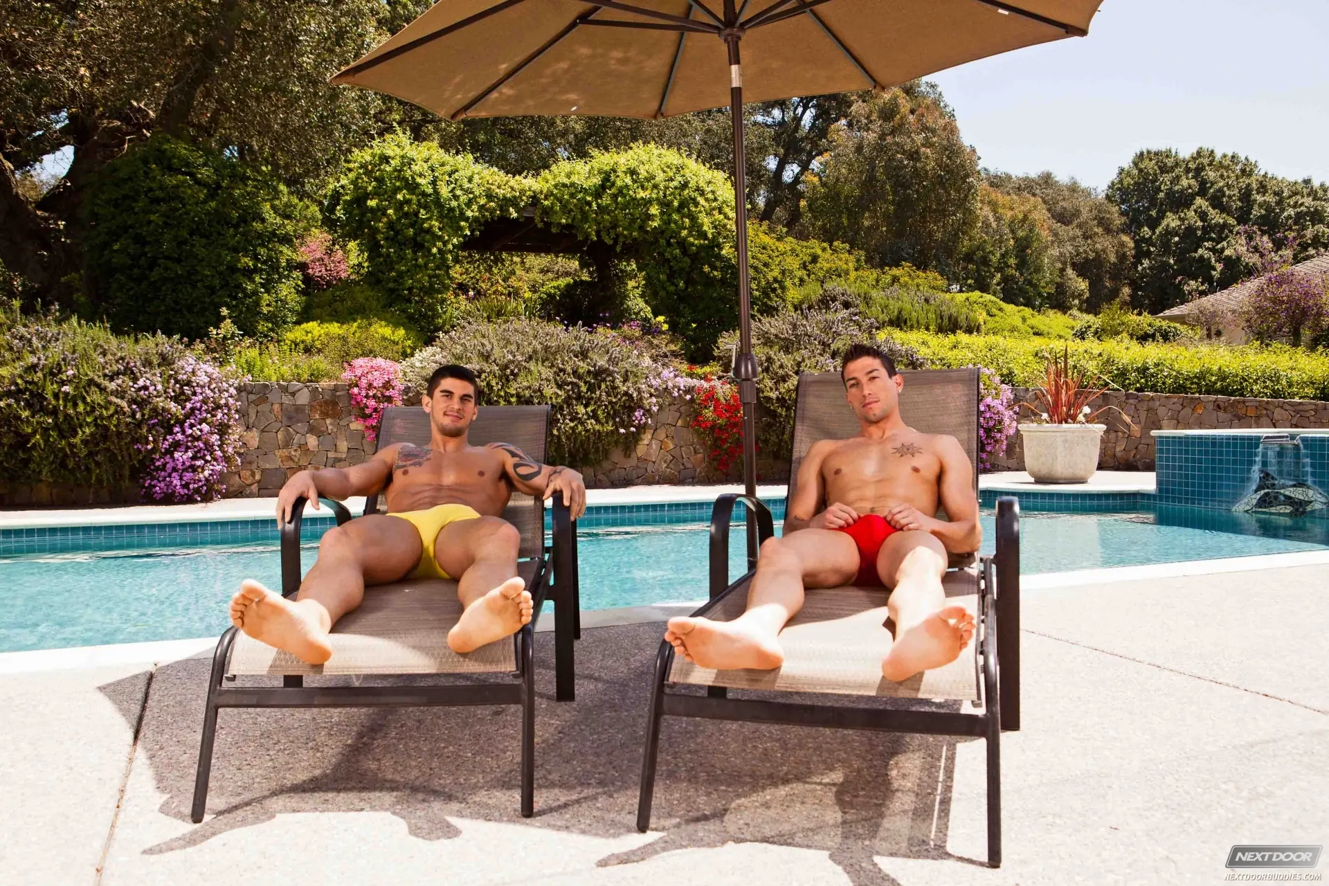 Next Door Studios 'Summer Slam' starring Dominic Reed (Photo 1)