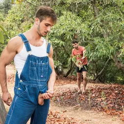 Donte Thick in 'Next Door Studios' Voyeur Fantasies (Thumbnail 12)