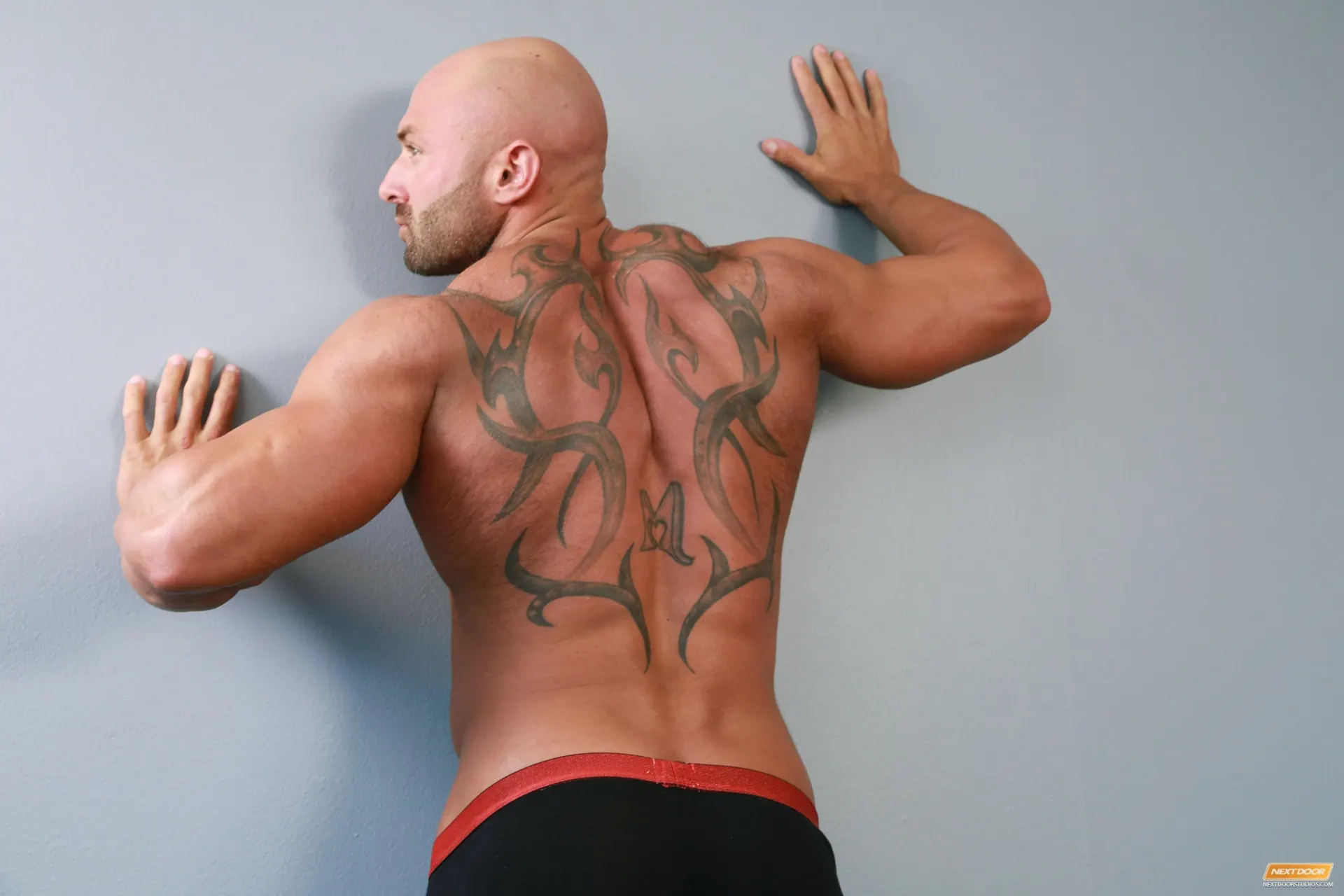 Next Door Studios 'Posing for Pleasure' starring Draven Torres (Photo 8)