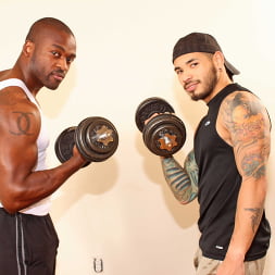 Draven Torres in 'Next Door Studios' Trained and Banged (Thumbnail 10)