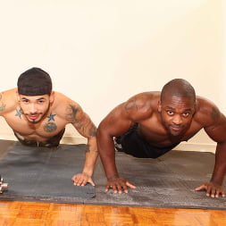 Draven Torres in 'Next Door Studios' Trained and Banged (Thumbnail 14)