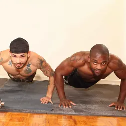 Draven Torres in Trained and Banged (Photo 14) Draven Torres in 'Next Door Studios' Trained and Banged (Thumbnail 14)