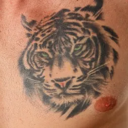 Max Steele in 'Next Door Studios' Max Steel (Thumbnail 33)