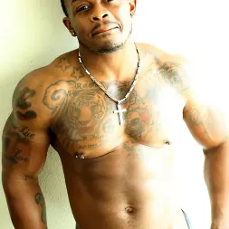 Mustang in 'Next Door Studios' Mustang (Thumbnail 4)