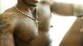 Mustang in 'Mustang'