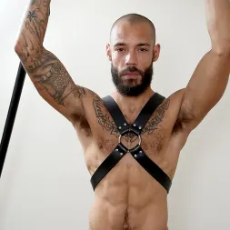 Nubius in 'Next Door Studios' Cuff Love (Thumbnail 15)