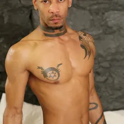 PD Fox in Morning Fuck (Photo 36) PD Fox in 'Next Door Studios' Morning Fuck (Thumbnail 36)