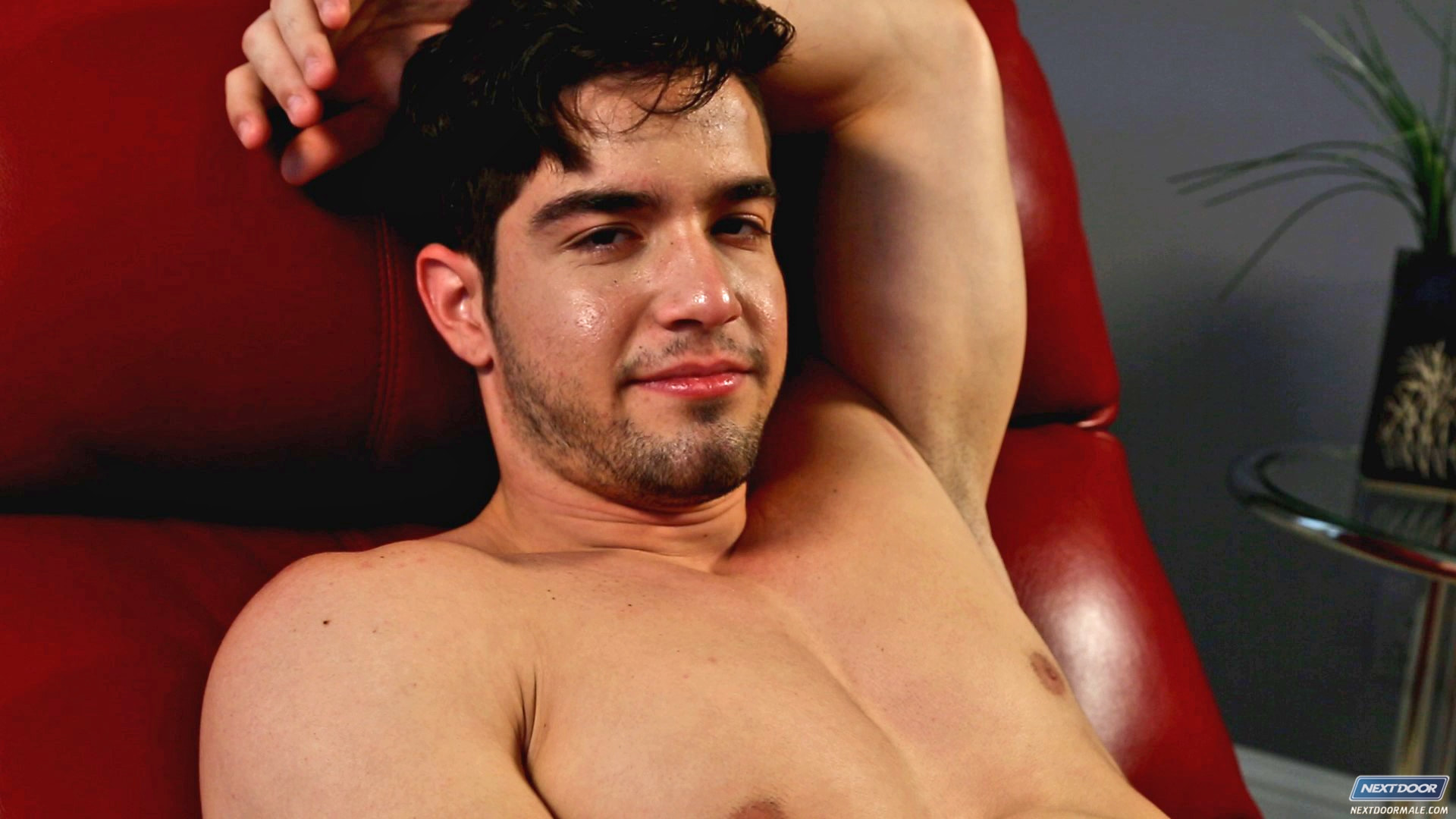 Stefan in 'Next Door Studios' Stefan (Thumbnail 24)