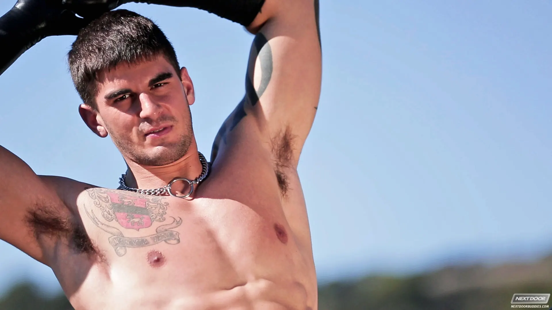 Next Door Studios 'Muscle Maid Services' starring Taylor Wolf (Photo 6)