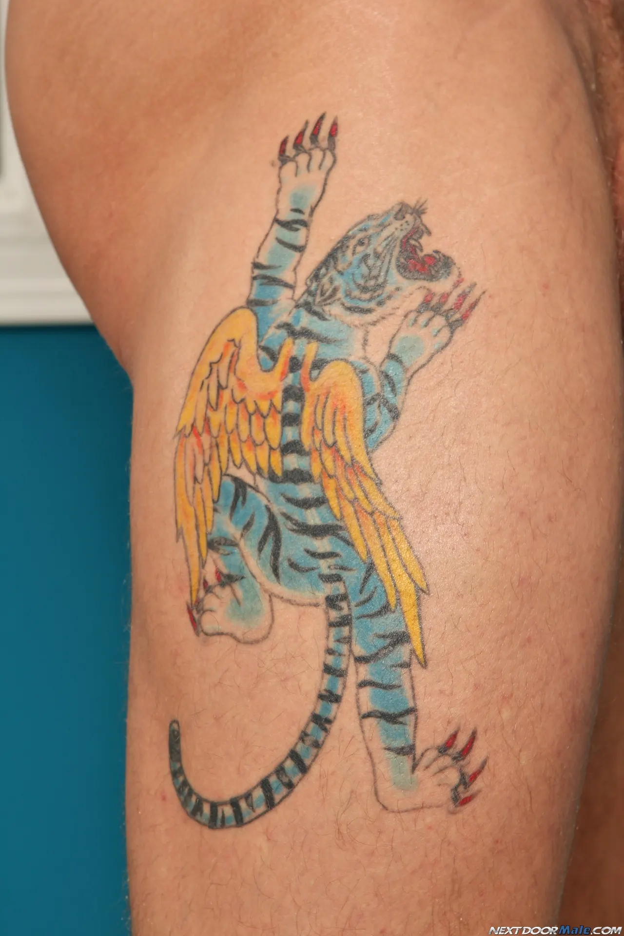 Next Door Studios 'Trent Diesel' starring Trent Diesel (Photo 24)