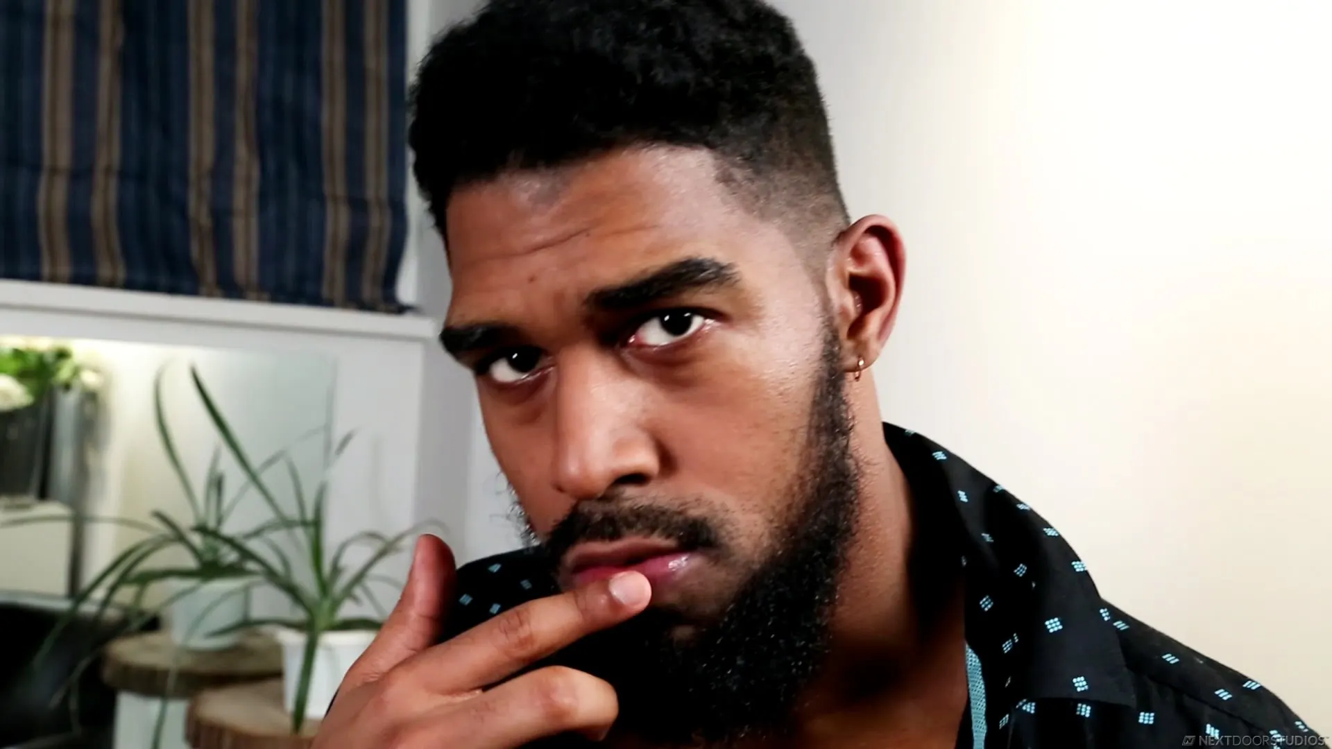 Next Door Studios 'XL' starring XL (Photo 2)